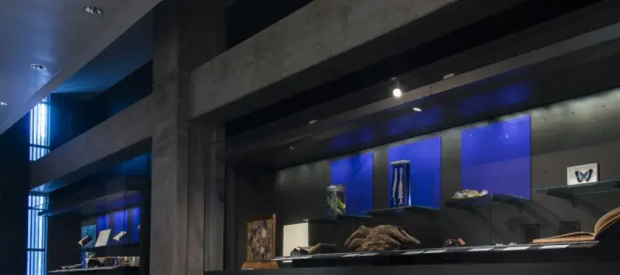 On display
