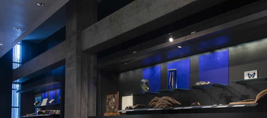 On display