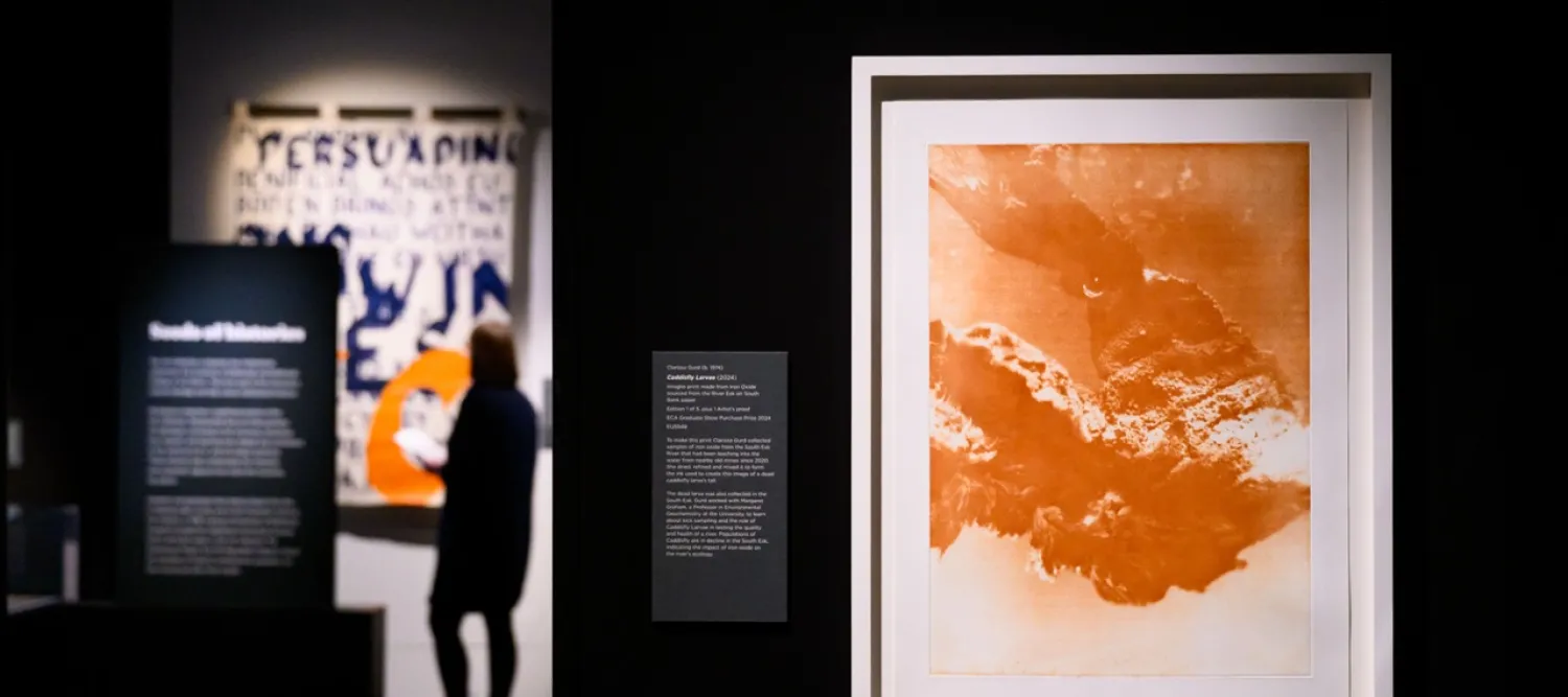 A framed photographic artwork showing a caddisfly larvae in the foreground and a silhouetted figure stand win front of a protest banner in the background.