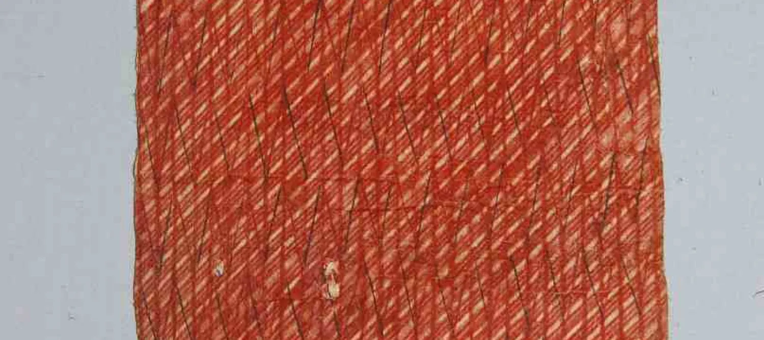 Bark cloth sample
