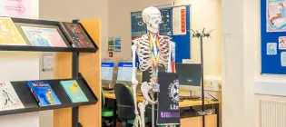 Image of a medical library with a teaching skeleton wearing a library branded bag.