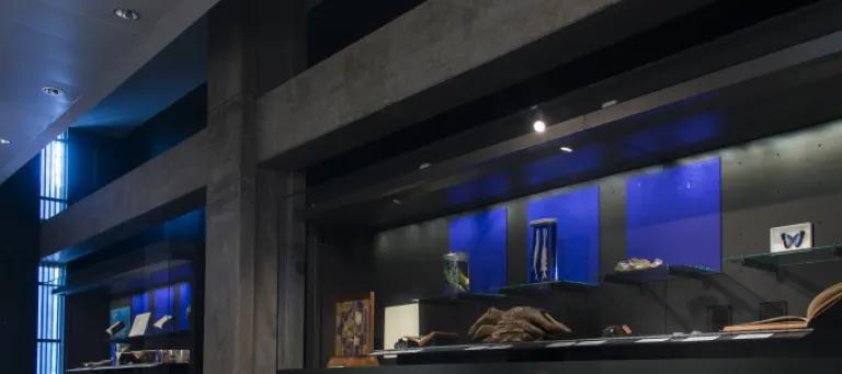 On display