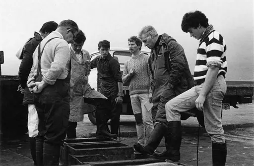 The Enterprise's catch being auctioned in Gourdon Harbour, 1985