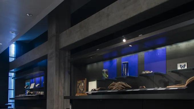 Something Blue Exhibition display cases, Main Library, 2015
