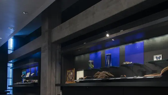 Something Blue Exhibition display cases, Main Library, 2015