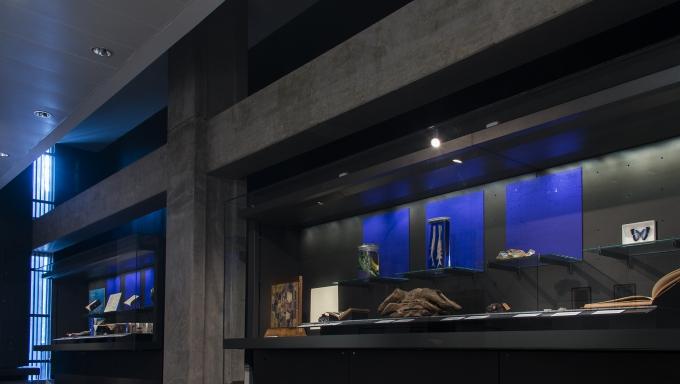 Something Blue Exhibition display cases, Main Library, 2015