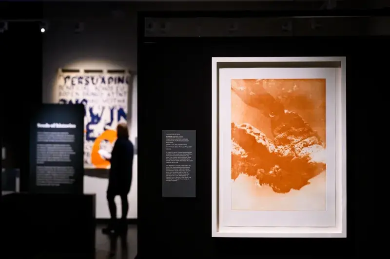 A framed photographic artwork showing a caddisfly larvae in the foreground and a silhouetted figure stand win front of a protest banner in the background.