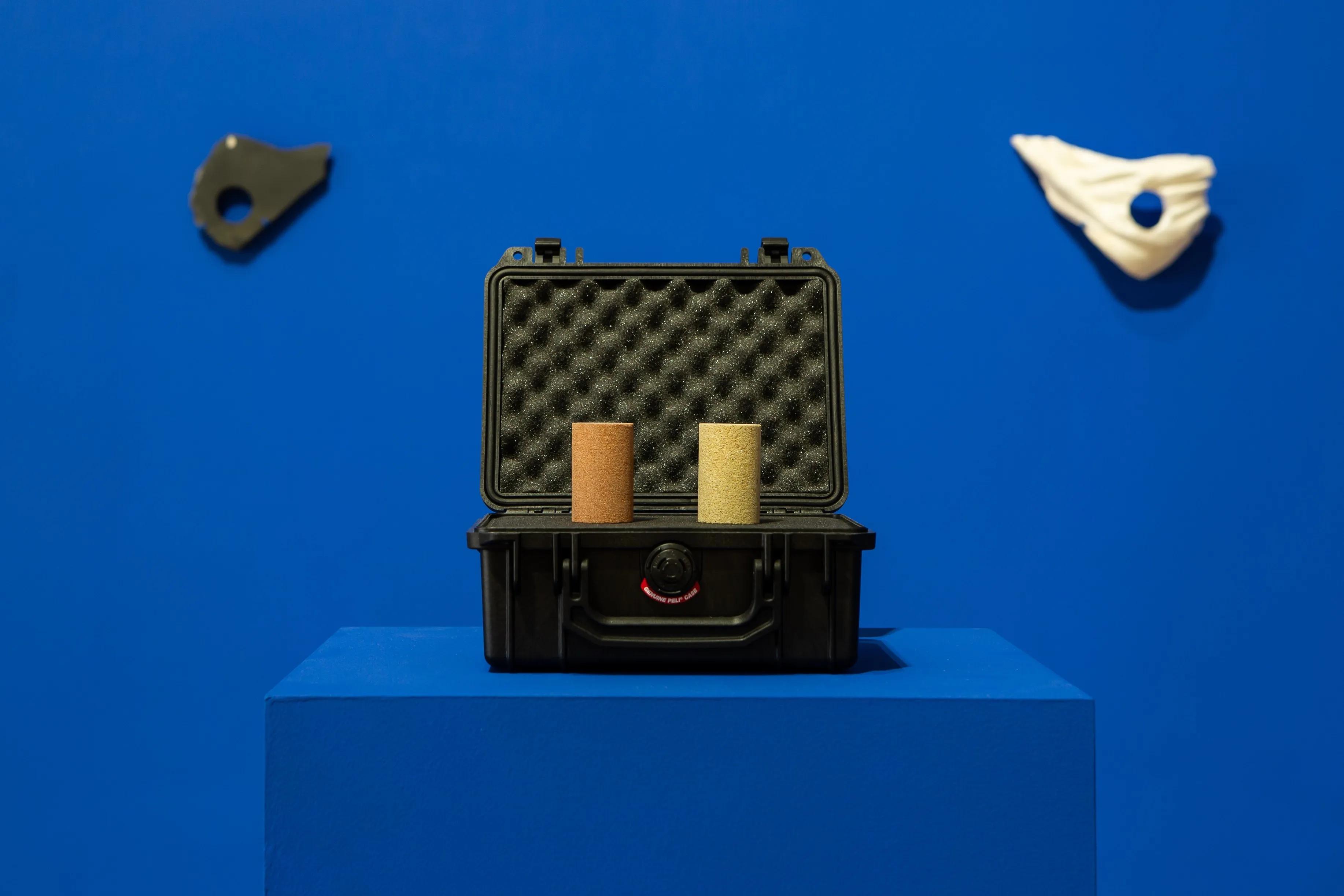 Withdrawn Objects