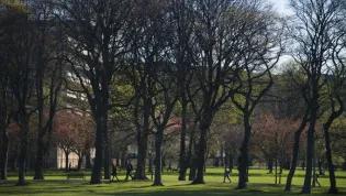 Edinburgh University Main Library from the Meadows