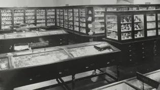 Grant Institute of Geology, the Geology Museum (Acc.2014/004)